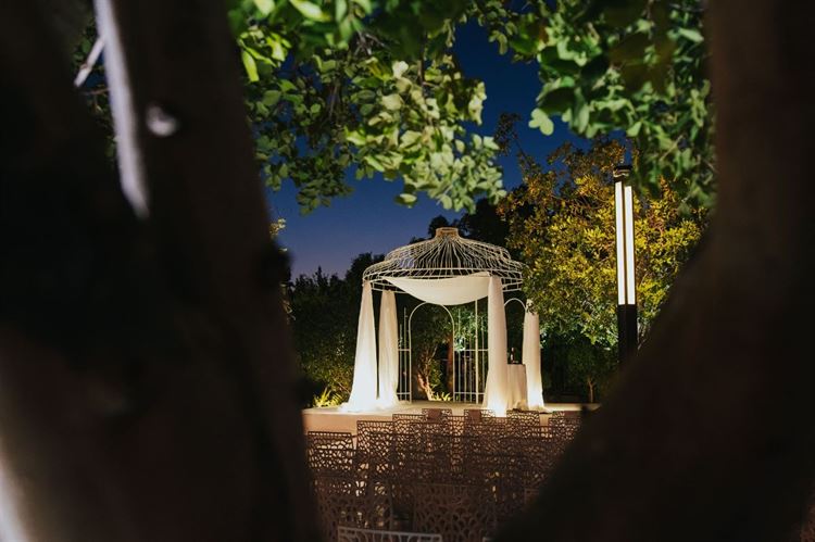 החתונה של רון ועדן (צילום: לבנה צלמים)