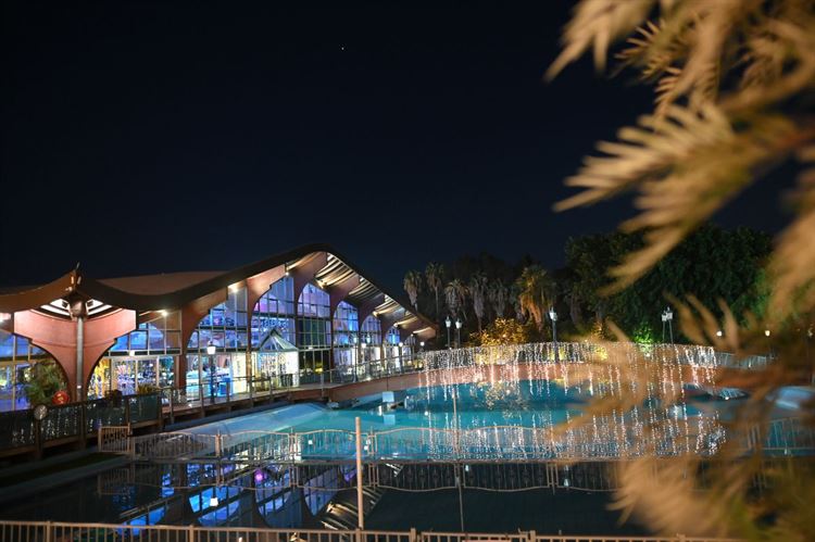 החתונה של הילי ודניאל ספושניק (צילום: מומנטוס)