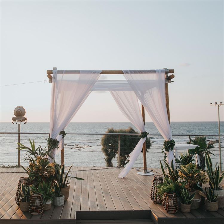 החתונה של שיר תורג'מן ועומר סלומון (צילום: עידן חסון)