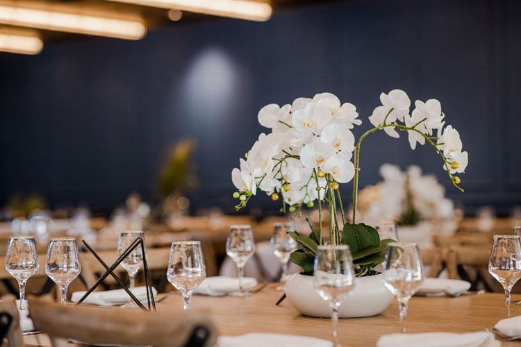 הצצה אל מתחם האירועים 'קסטלו' (צילום: וואלה! מזל טוב)