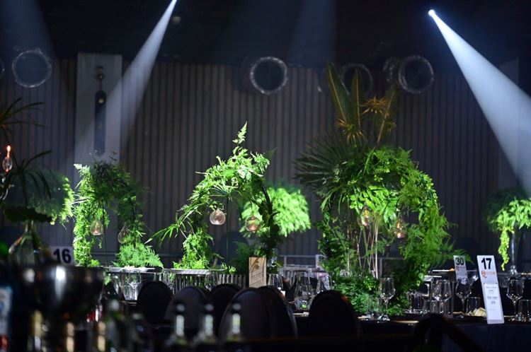 מתחם גן הארמון של 