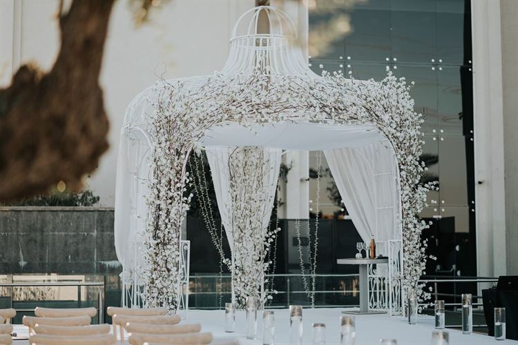 עיצוב החופה (צילום: שי בוזגלו)