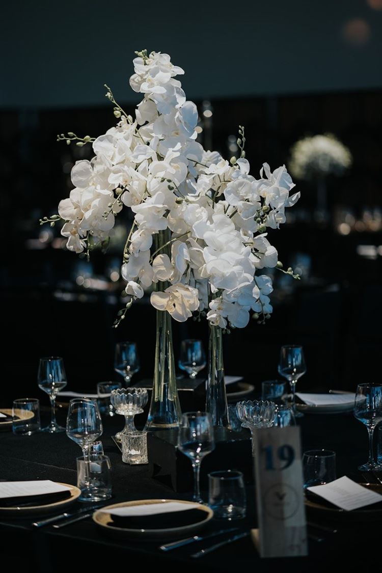 החתונה של דנה ובן שאתי (צילום: שי בוזגלו)