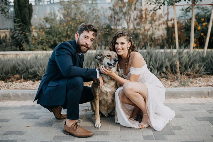 החתונה של טל זכריה וסער פיינשטיין (צילום: יוסי שטיינר)