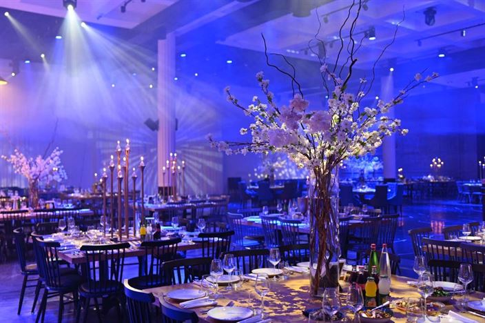 vibes לה ריין La Reine #5