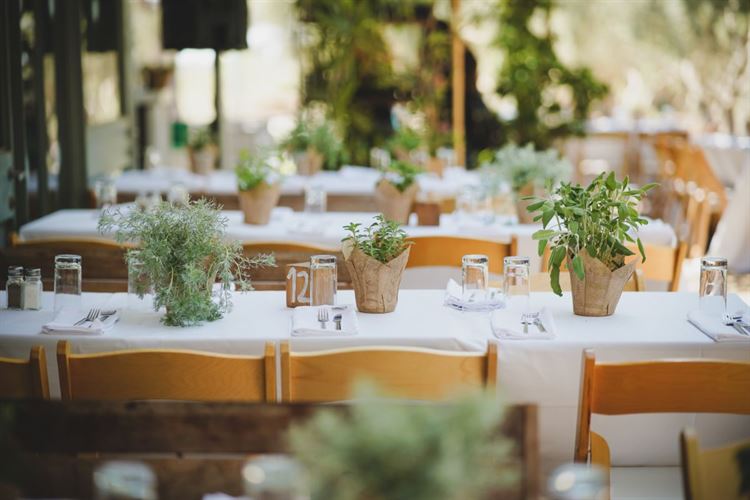 החתונה של יערה ויואב (צילום: רון קובי)