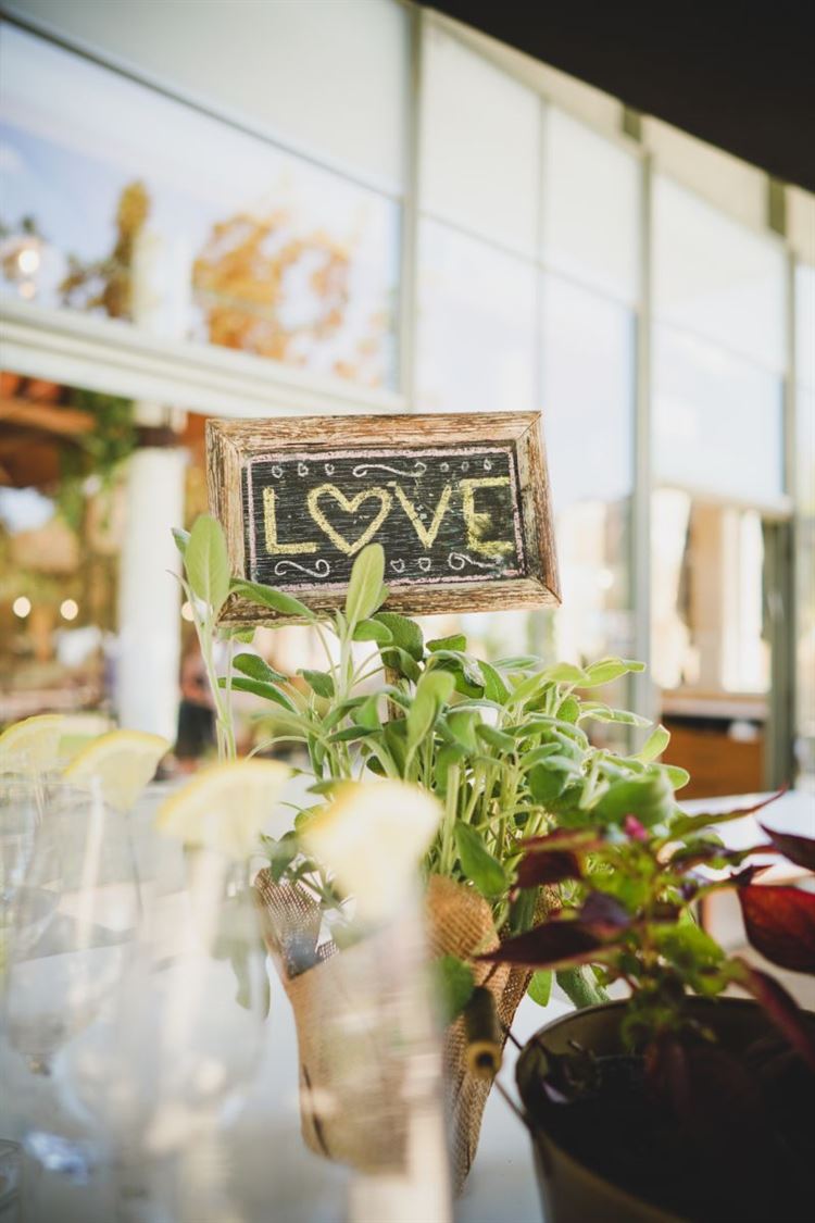 החתונה של יערה ויואב (צילום: רון קובי)