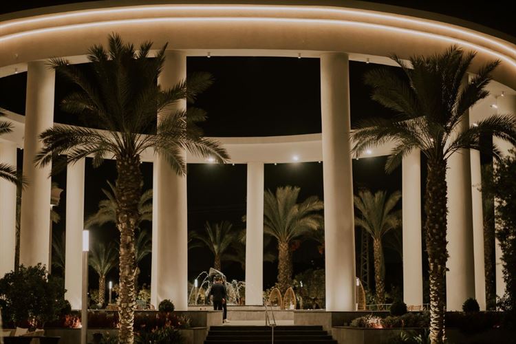 העמודים היווניים שכבשו את ענבר (צילום: חן לוי)