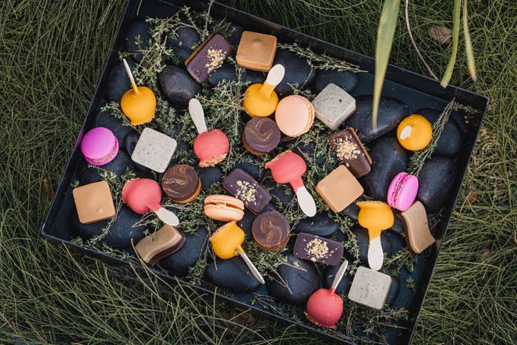 על הצלחת של 