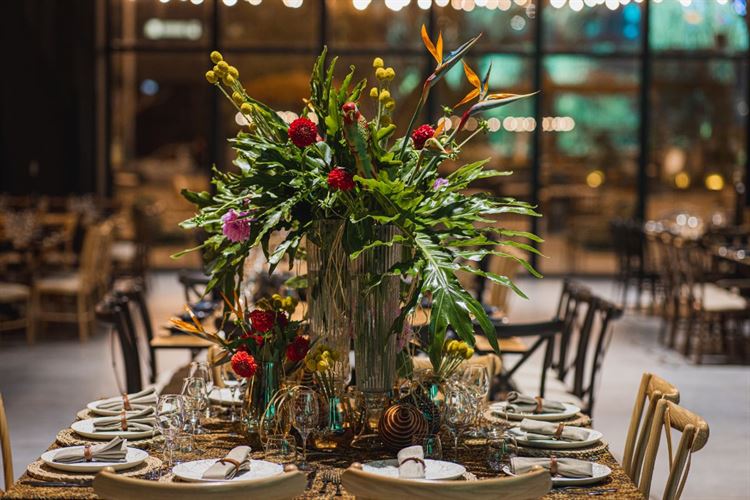 כל הקסם קור כאן, ארטיסטה (צילום: וואלה! מזל טוב)