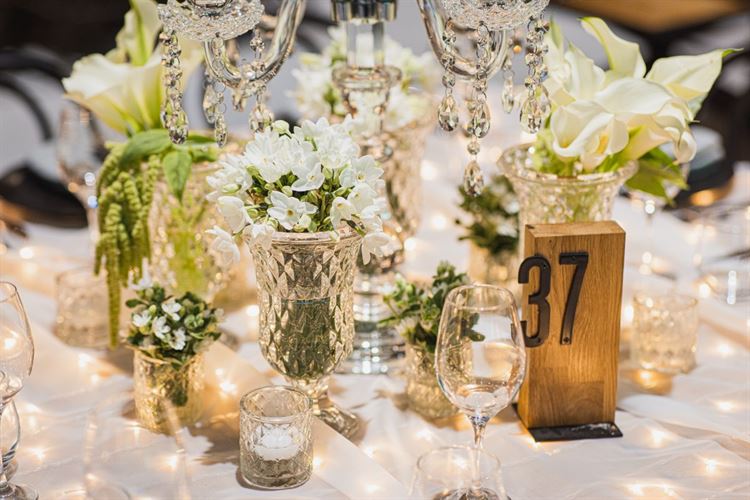 הצצה אל מתחם האירועים ארטיסטה (צילום: וואלה! מזל טוב)