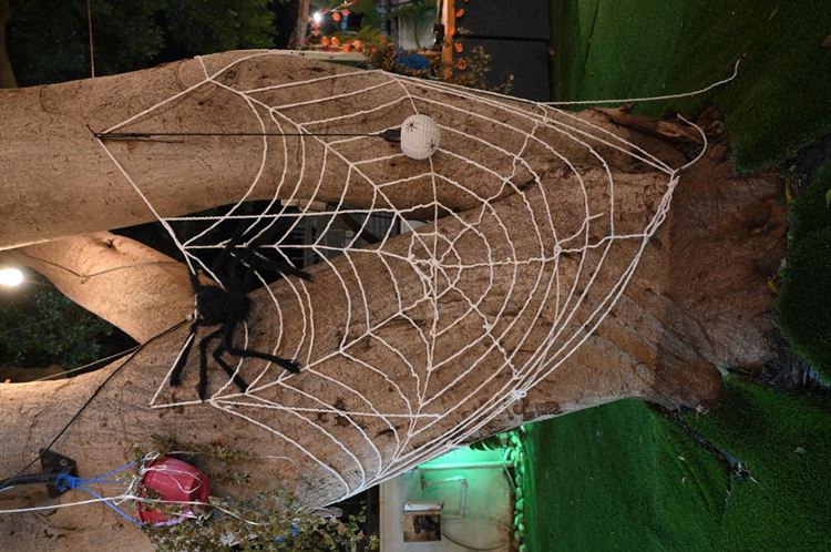 עיצבו את אולם היקב גארדן כאוות נפשם (צילום: אלכס ביילי)