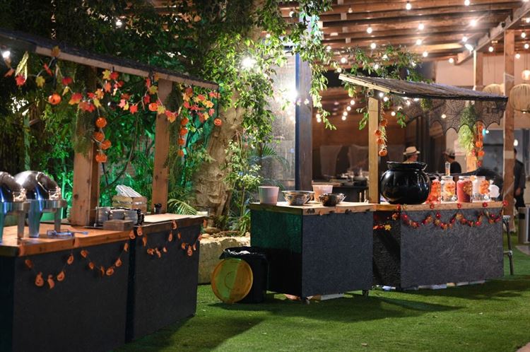 החתונה של של נטי ושרון (צילום: אלכס ביילי)