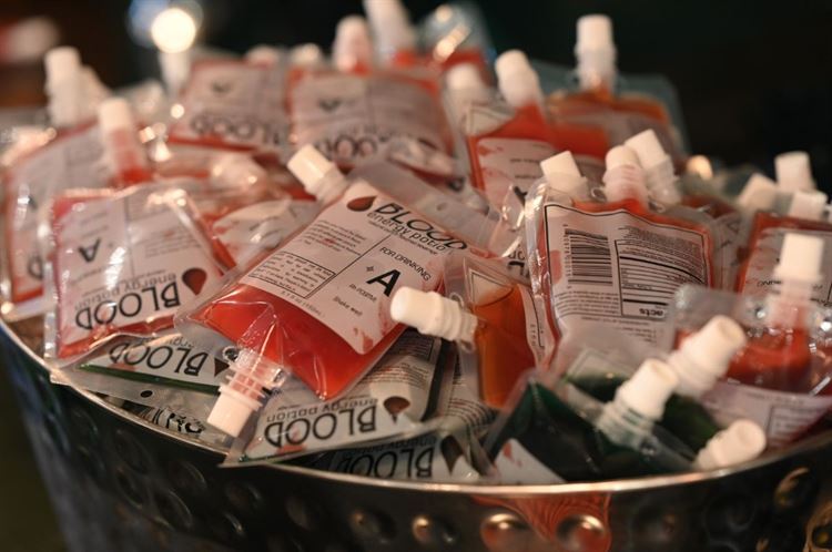 קוקטייל דמי בשקיות, החתונה של של נטי ושרון (צילום: אלכס ביילי)