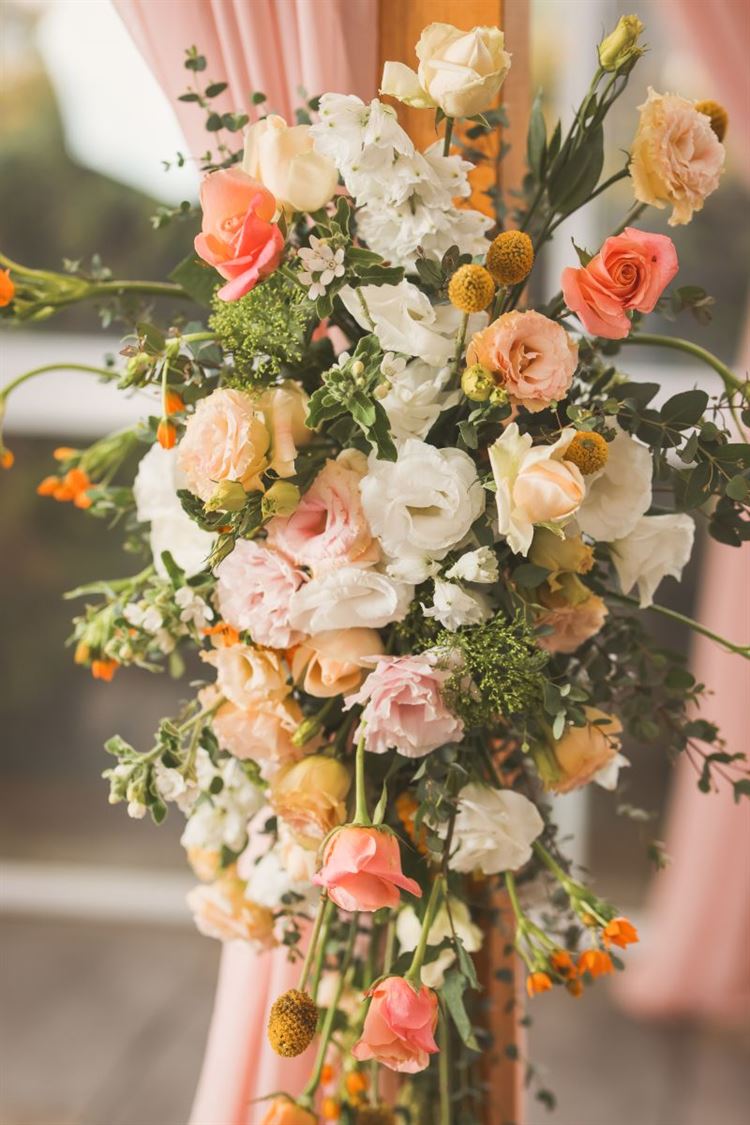 הפקת האביב של וואלה! מזל טוב (צילום: עידן כנפי)