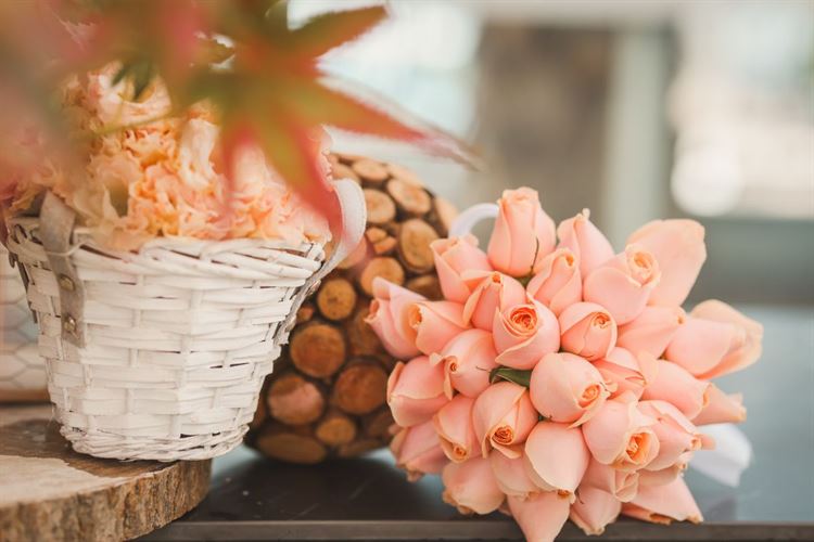 הפקת האביב של וואלה! מזל טוב (צילום: עידן כנפי)