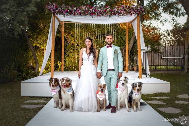 נמסנו מהמתיקות (צילום: מאיר גור)