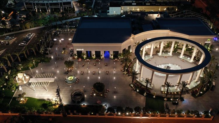 החתונה של עוז ועמית (צילום:סיני קורן)