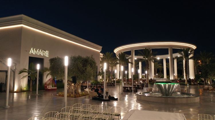 החתונה של עוז ועמית (צילום:סיני קורן)