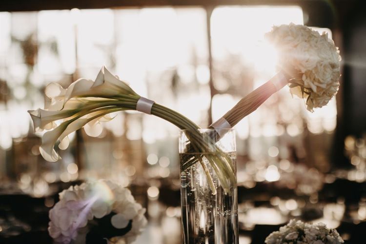 החתונה של אור מיכאלי ועידו איתי ונה (צילום: פיפל פוטוגרפי)