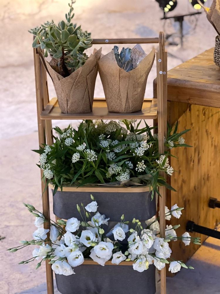 החתונה של גל ובן (צילום: טל אקוקה)