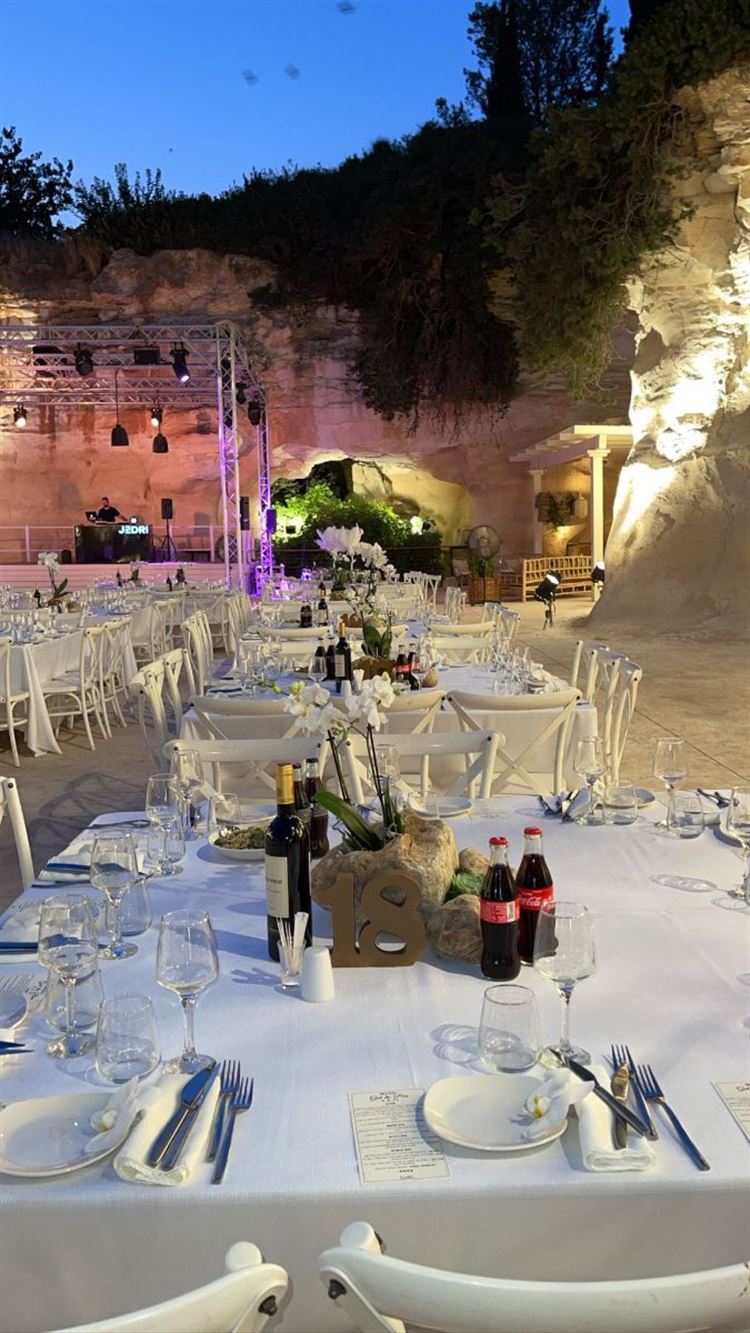 החתונה של גל ובן (צילום: טל אקוקה)