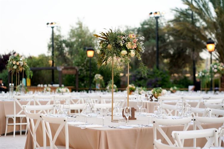 החתונה של נופר ואמיר (צילום: רון קובי)