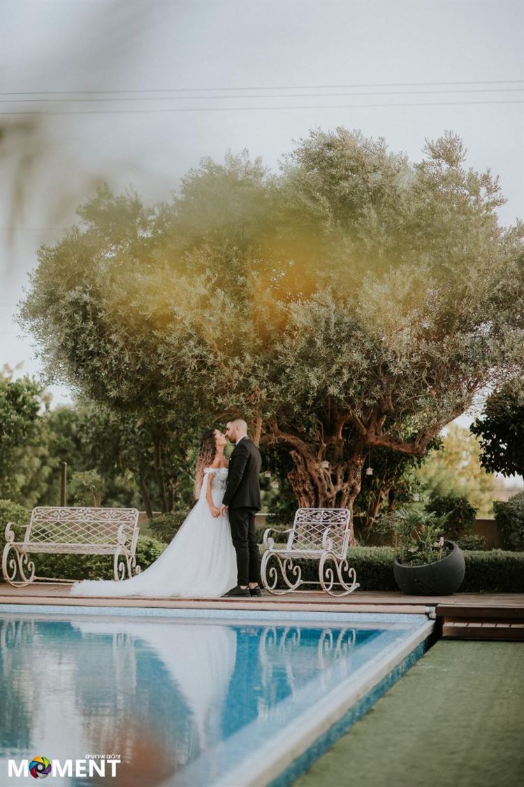 החתונה של סתיו ועמית (צילום: משה עמר MOMENT)