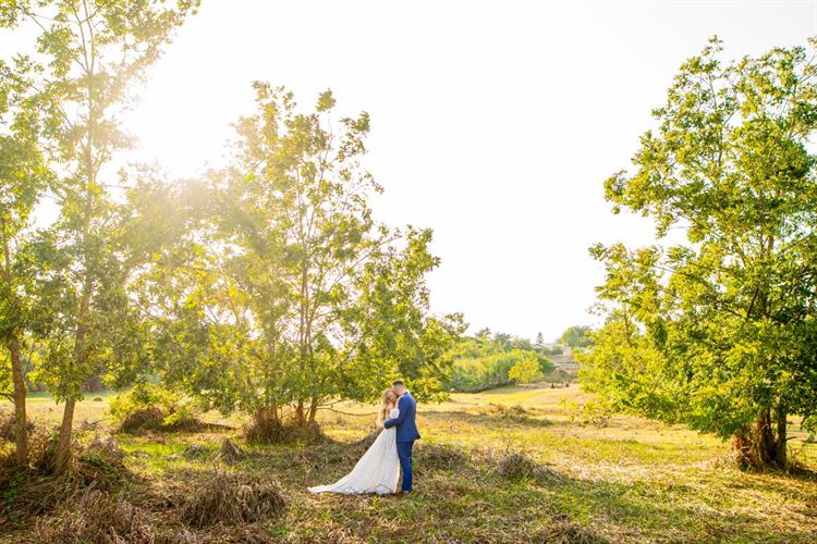 החתונה של גילי ואיתי (צילום: חיים אפריאט)