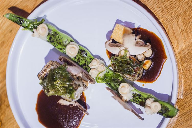 הצצה אל מתחם האירועים 'אמארה' (צילום: יחצ)