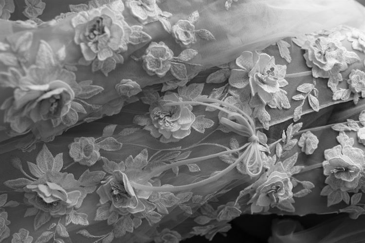 שמלת הכלה (צילום: מיקי סוויסה)