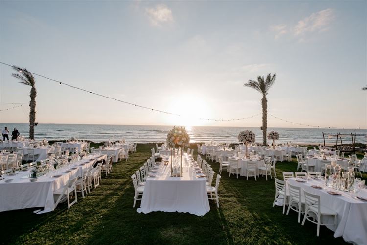 עיצוב גן האירועים כוכב הים (צילום: רן ברגמן)