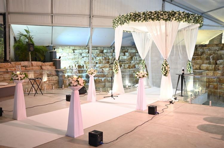 החתונה של נוי ורוי (צילום: בני אסכלוני)