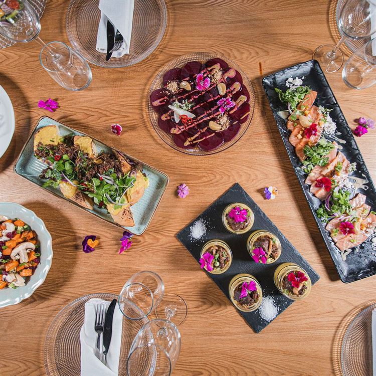 התפריט החדש של טרויה (צילום: וואלה! מזל טוב)