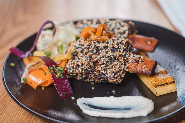 התפריט החדש של טרויה (צילום: וואלה! מזל טוב)