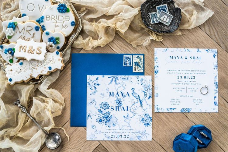 החתונה של מאיה ושי מאירוביץ' (צילום: חיים אפריאט)