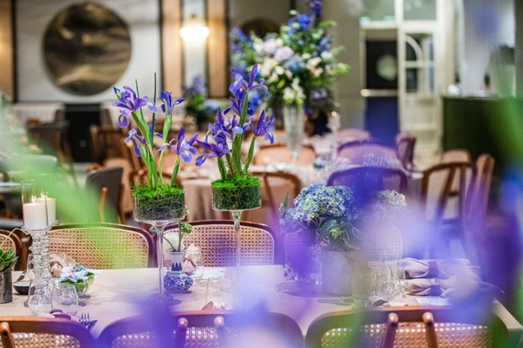 עיצוב החתונה של מאיה ושי (צילום: חיים אפריאט)