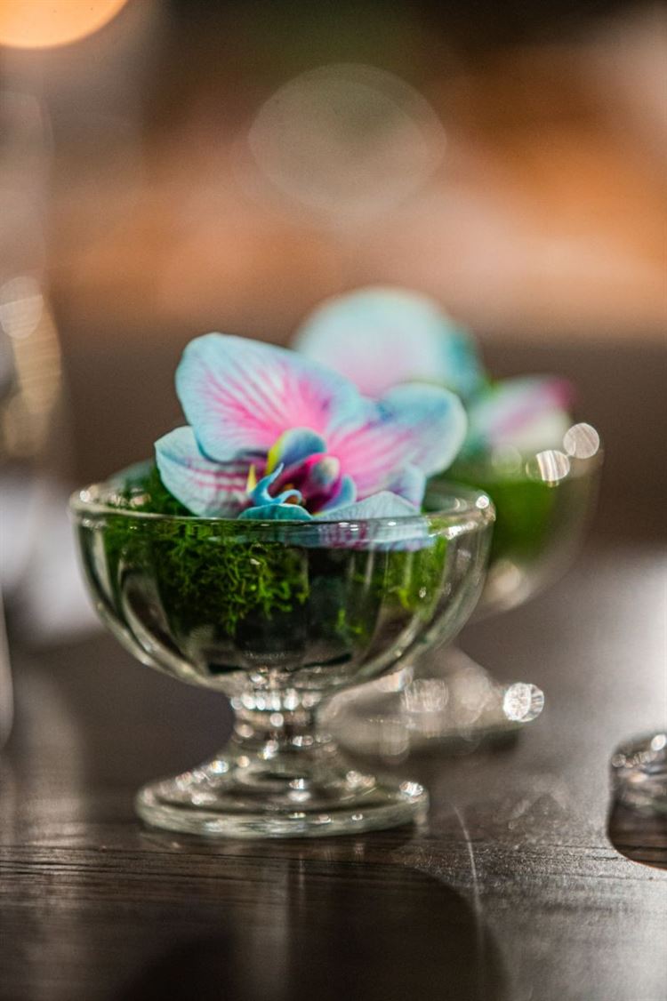 עיצוב החתונה של מאיה ושי (צילום: חיים אפריאט)