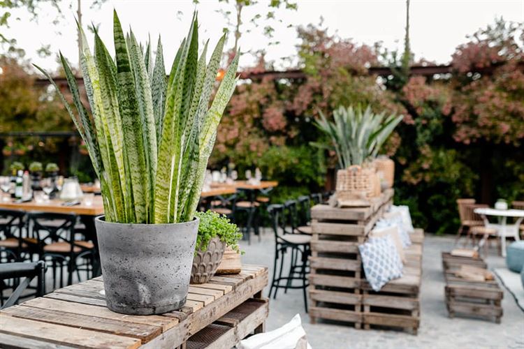 מתחם האירועים בדולינה (צילום: רן ברגמן)