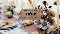 אירועים עסקיים קטנים - יהלום