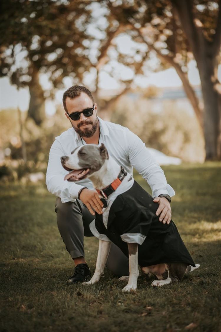 החתונה של מור ונדב גרין (צילום: לירון ברקוביץ' | פפראצי)