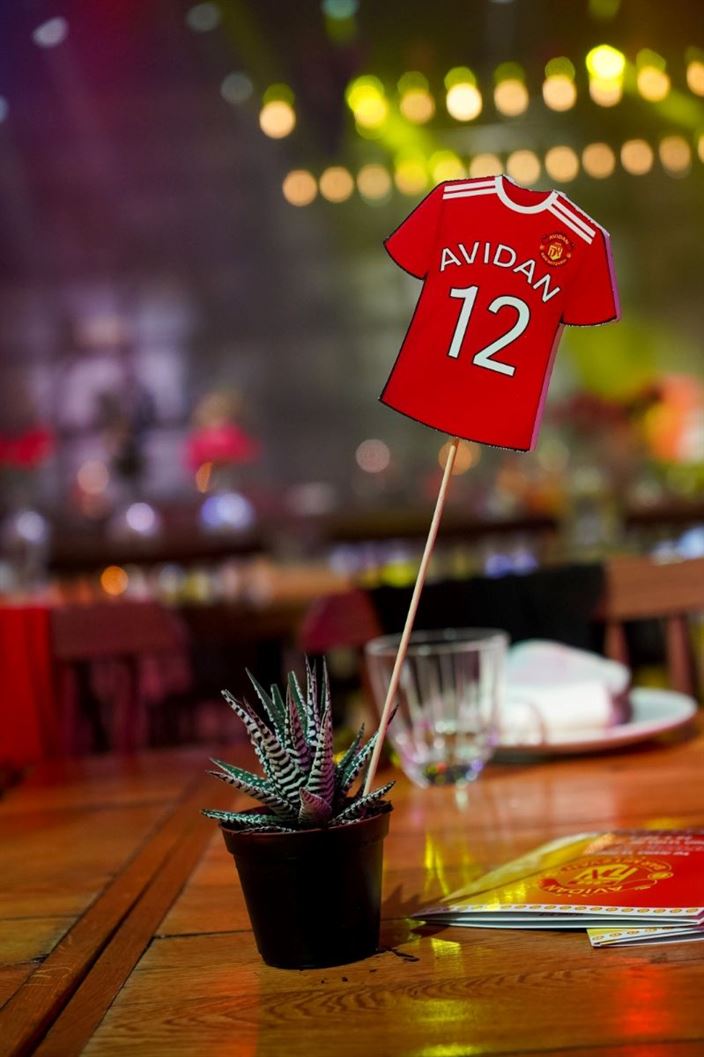 בר מצווה בדולינה #13