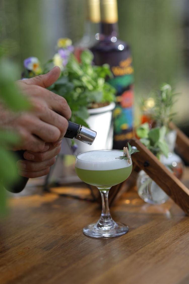 מיקסטה: מתוך הפקת הסילבסטר של וואלה! מזל טוב (צילום: עידן כנפי)