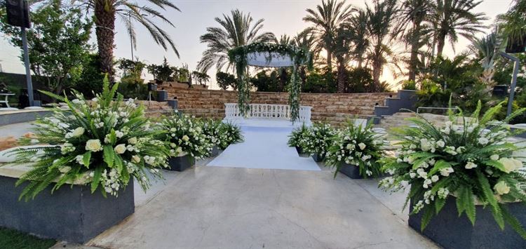 מתחם האירועים אלגריה (צילום: יחצ)