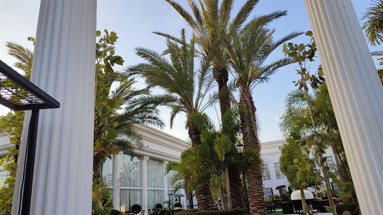 גן האירועים- 'אודאון' (צילום:נועה זהבי)