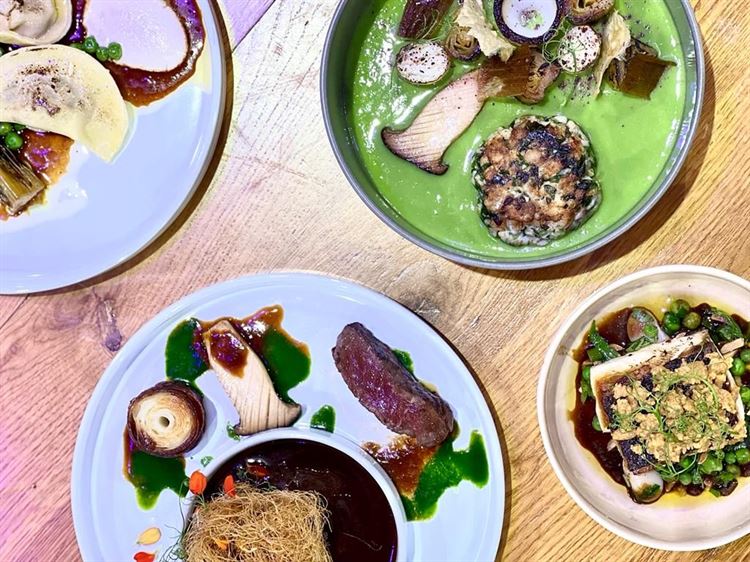 תפריט קיץ 2022 של אמארה (צילום: וואלה! מזל טוב)