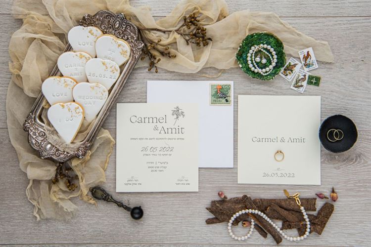 החתונה של כרמל חוטר ועמית אלקובי (צילום: חיים אפריאט)