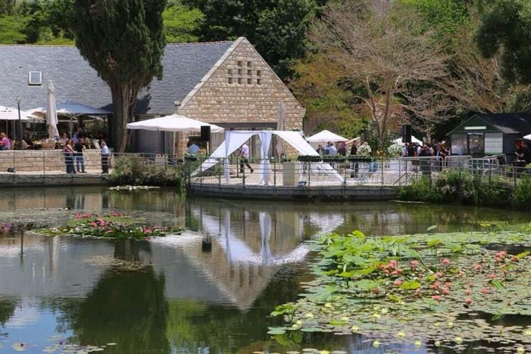 האגם בגן הבוטני (צילום: יחצ)