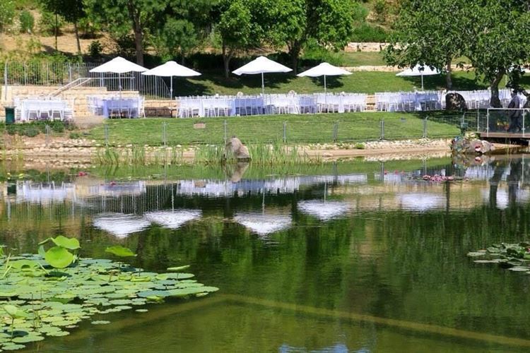 האגם בגן הבוטני (צילום: יחצ)