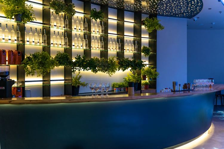 האגם בגן הבוטני (צילום: יחצ)